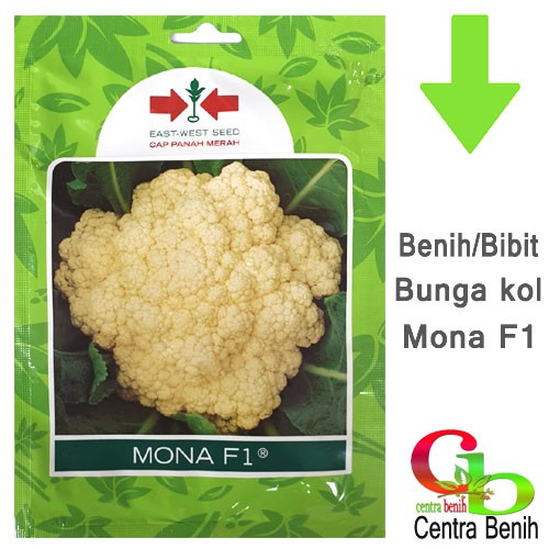 250 BIJI BENIH BUNGA KOL/KEMBANG KOL MONA F1 -BIBIT BUNGA KOL/KEMBANG KOL