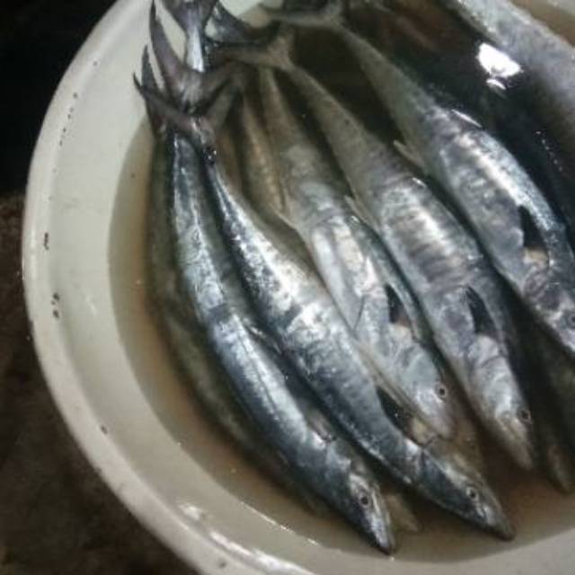 

Ikan tenggiri 1kg segar dan termurah