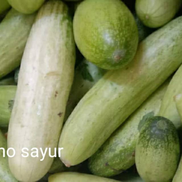 

timun segar