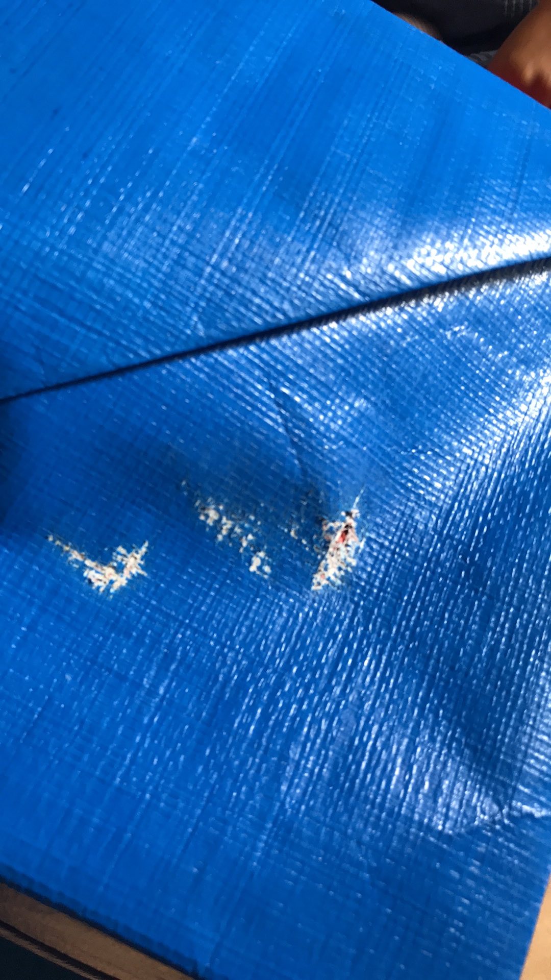 Terpal Kolam Ikan Mini Type A5 Korea Original Ukuran 50x50x25