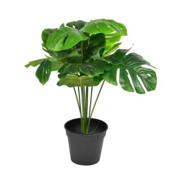 ACE Arthome Tanaman Artifisial Monstera Dengan Pot 43 Cm