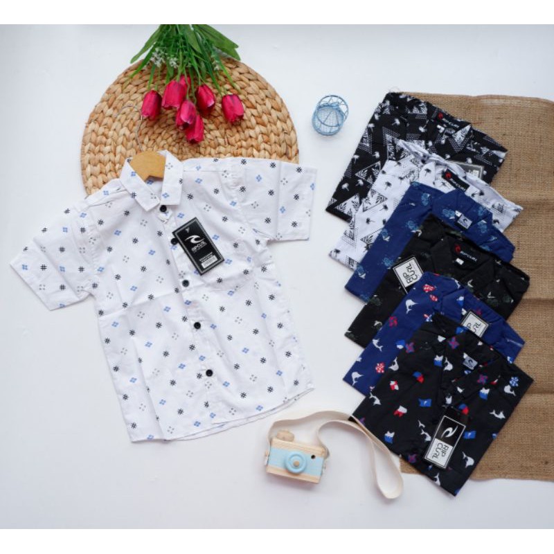 Grosir set Loly Poly