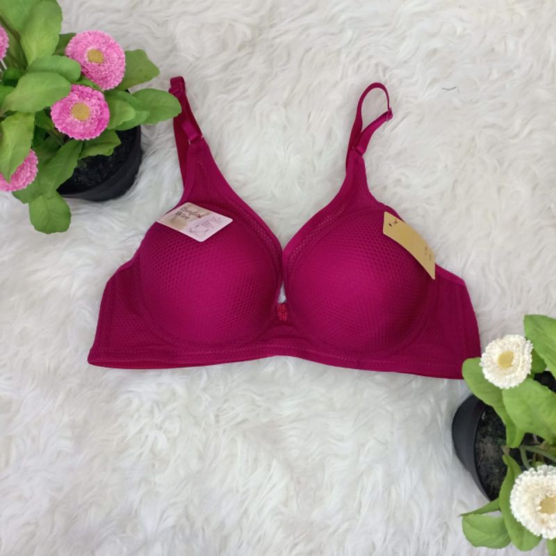 Bra Wanita Basic Tally 1953 Push Up Breast Pori Kawat Kait 2 Busa Tipis Size 34 36 38 40 / Bh Pori