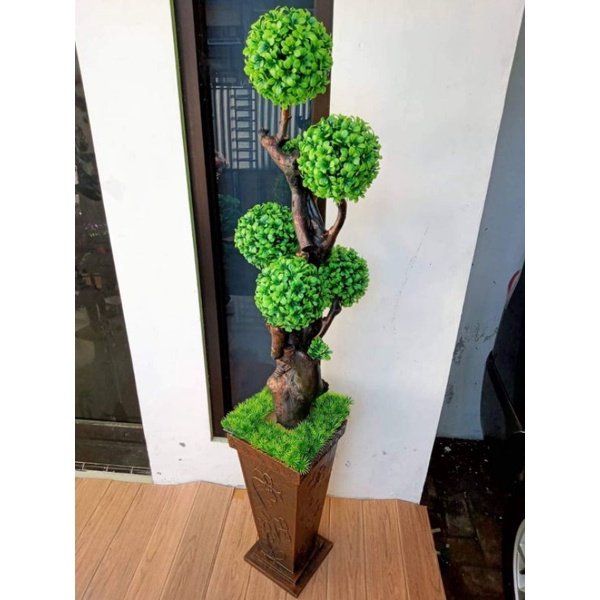 POHON BONSAI BOLA LENGKAP VAS BEBATUAN / POHON BONSAI SERUT / POHON BONSAI BRINGIN / POHON BONSAI BO
