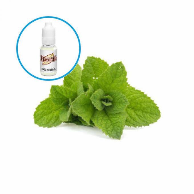 

FLV Cool Menthol - 2/3oz