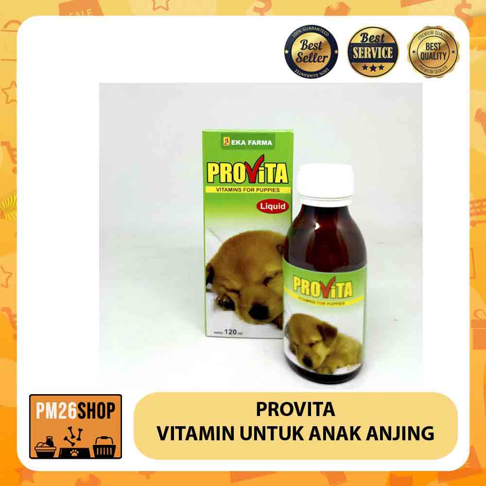 VITAMIN UNTUK ANAK ANJING PROVITA