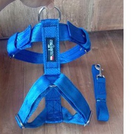 Harness H Untuk Anjing Besar, Kuat, Dan Awet,