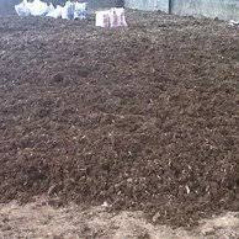 KOHE AYAM 250 GRAM