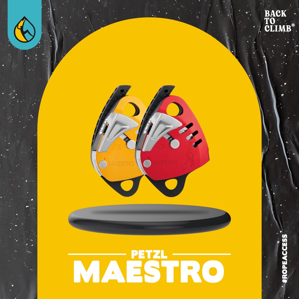 Petzl Maestro S dan L Descender Rescue Safety