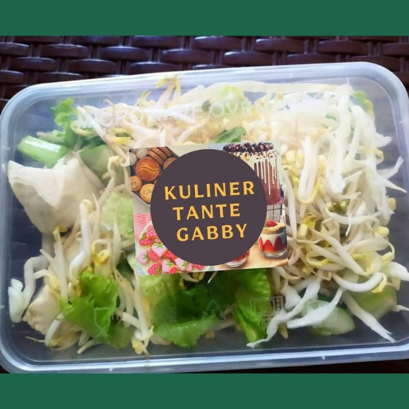 

Asinan Sayur Tante Gabby (Asinan Sayur Opung)