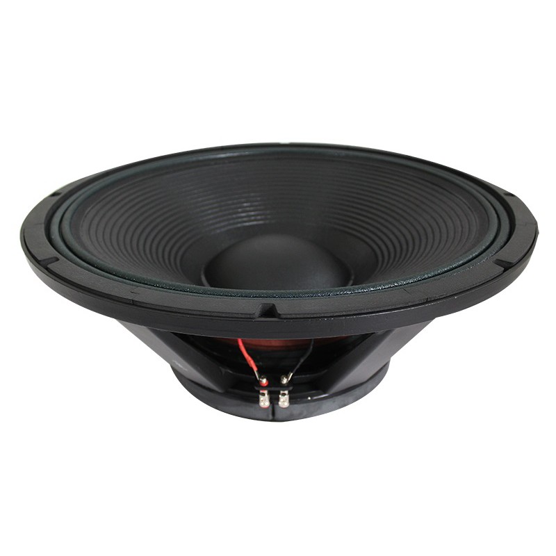 SPL Audio Speaker 25 Inch P25/3000
