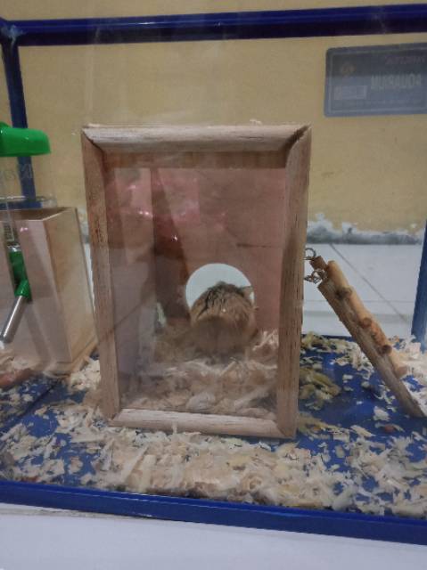 MAINAN HAMSTER - HIDING TOWER HAMSTER