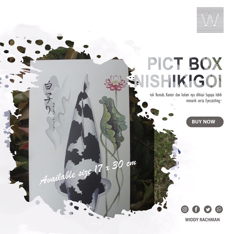 PICTURE BOX-SHIRO UTSURI