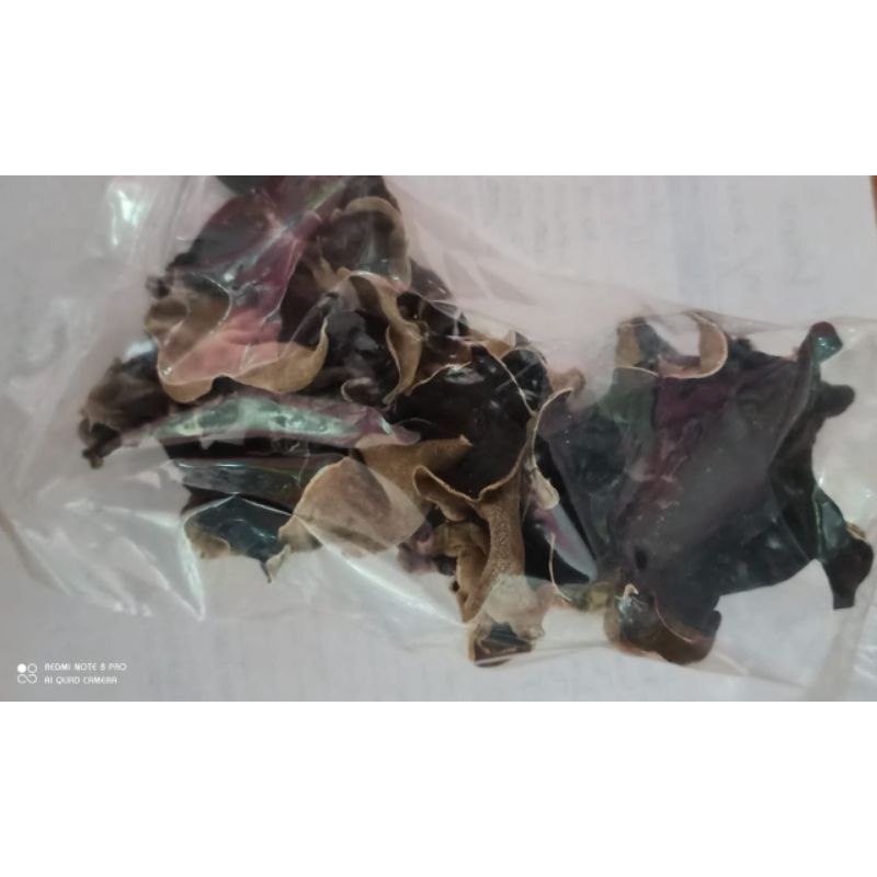 

Jamur Kuping Kering Kemasan Ekonomis 30gr