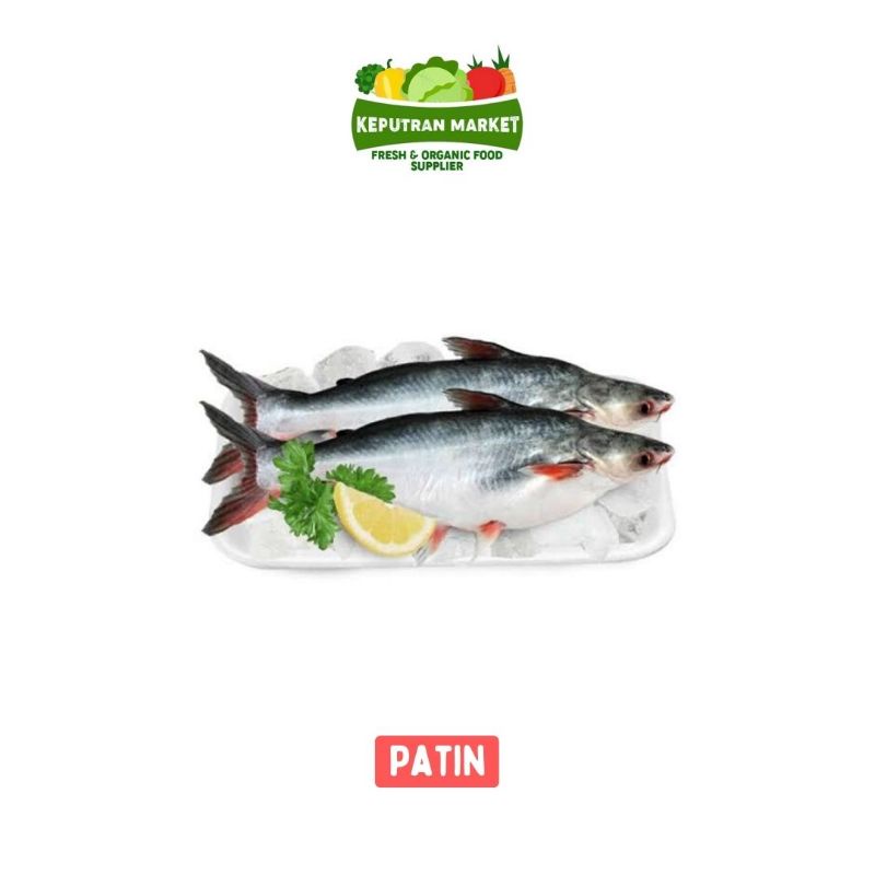 

Ikan Patin Per Kg / Ikan Segar
