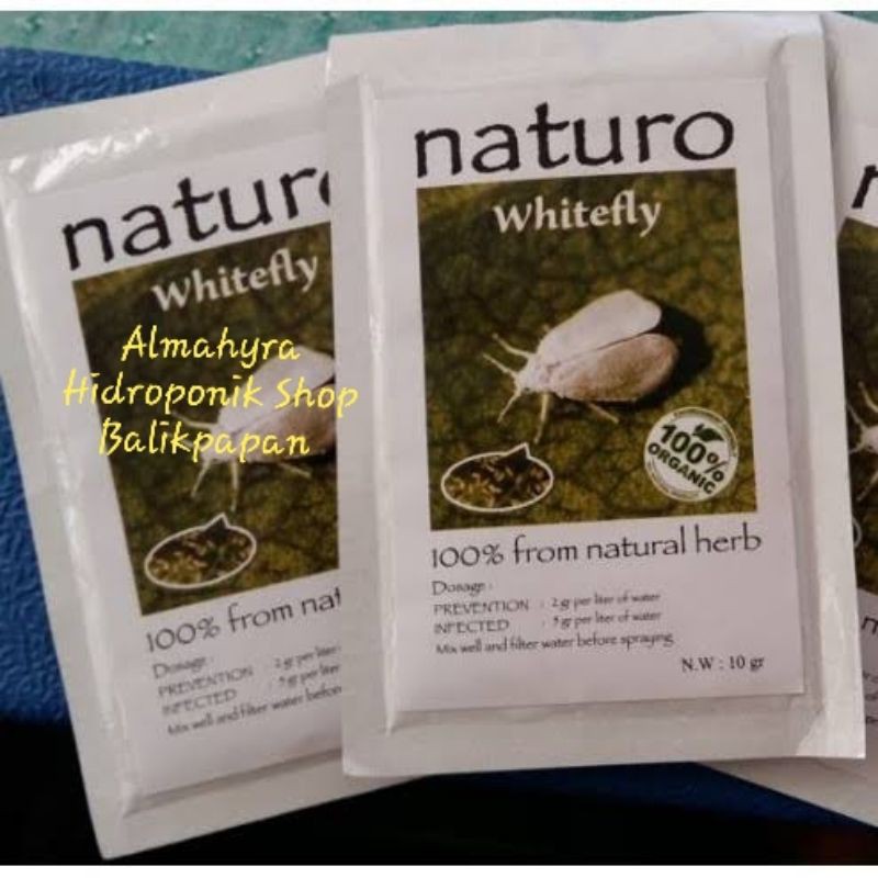 Naturo Pestisida Organik membasmi Hama kutu Putih