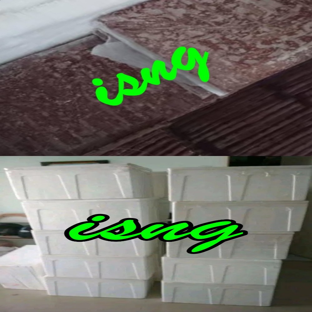 

Kotak Box Sterofoam Kemasan Packing Cacing Beku CaBek