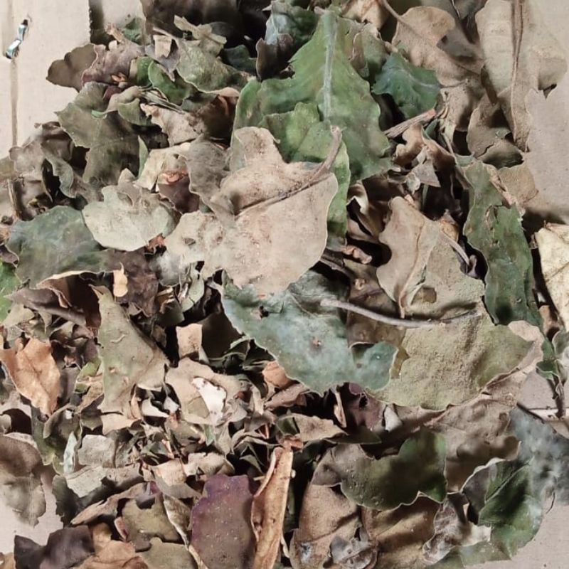 

Benalu jeruk kering asli bukan kering oven