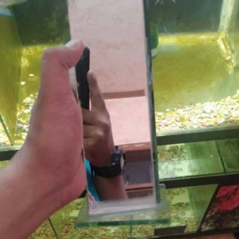 Kaca Cermin untulan Tinggi 20cm untuk ikan Louhan