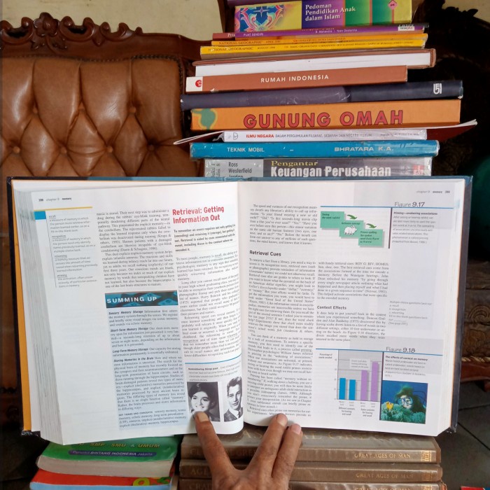 ORI MULUS BUKU PSYCHOLOGY EDISI 5 DAVID MYERS