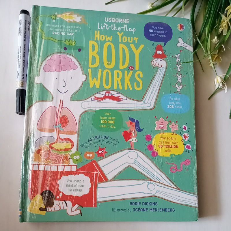 [ Usborne ] Buku Lift the Flap HC Usborne How Your Body Works New Segel Bahasa Inggris