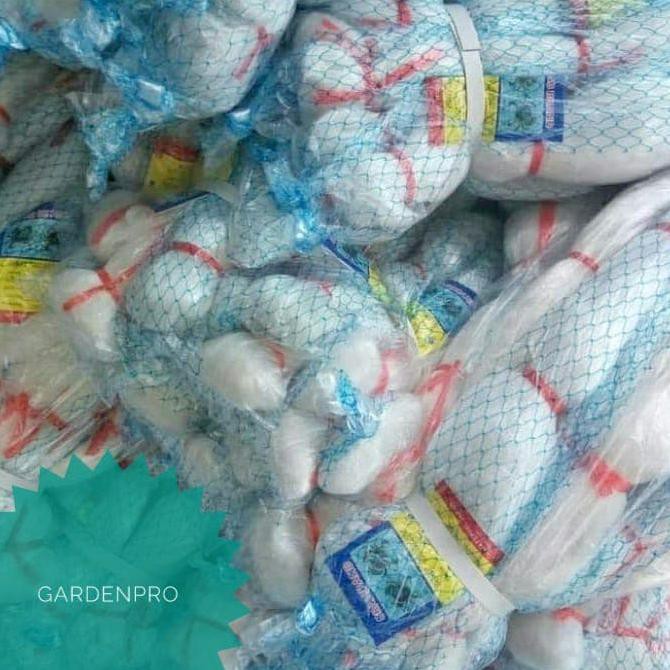 Jaring Burung Pipit Ciblek Sawah Kecil Shopee Indonesia