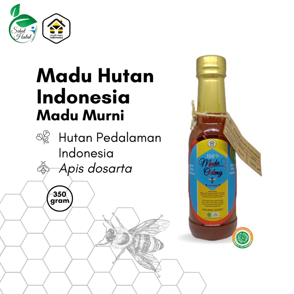 

Madu Murni Hutan Indonesia 350gr Asli 100% Lebah Apis Dorsata Pure Raw Honey Alami Sudah Uji Lab BPOM Halal MUI
