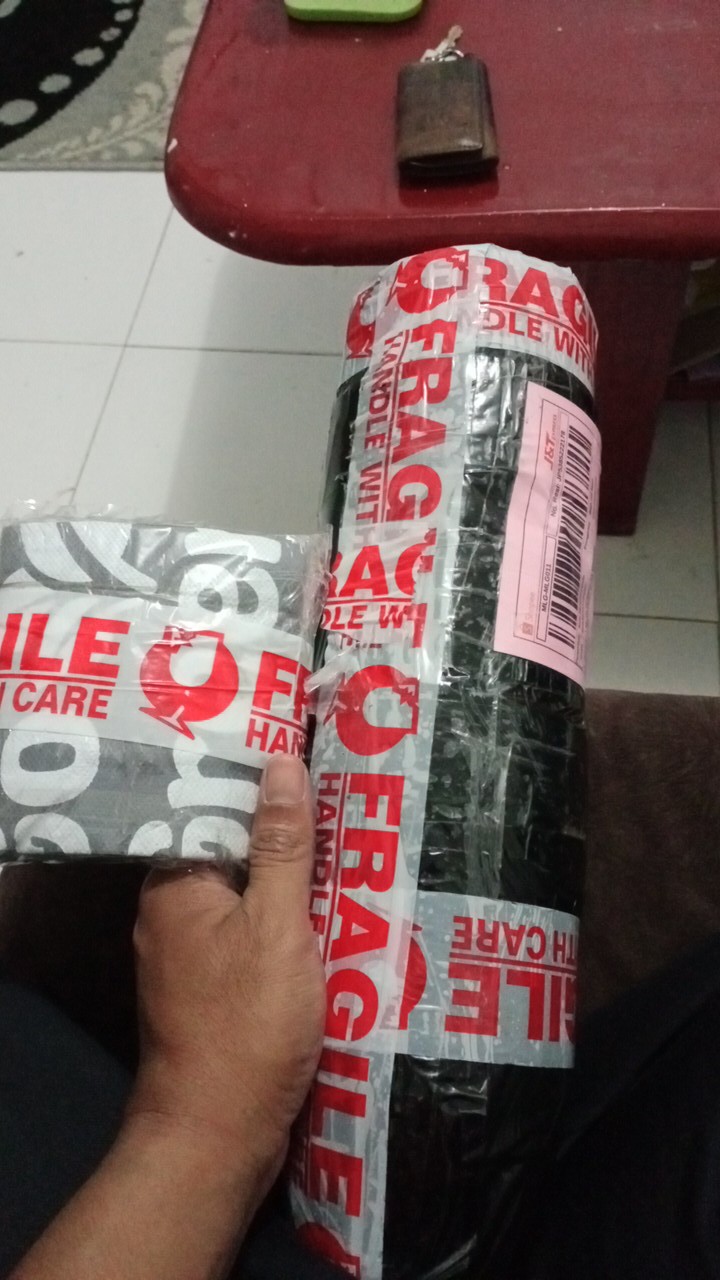 Tanaman Hias Aglonema Red Aurora / Aurora Merah / Siam Aurora