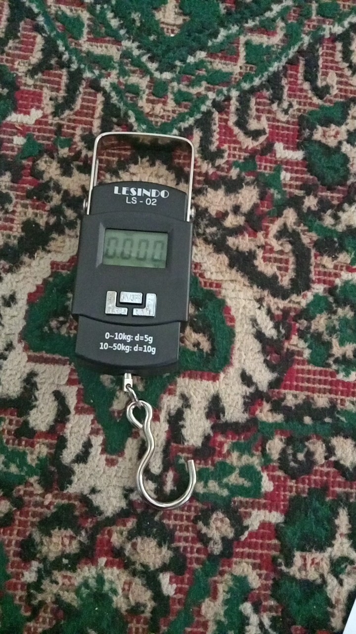 Bisa Cod - Timbangan Portable 50 Kg Protable Electronic Scale Digital Emas Ikan Kue Barang Loundry