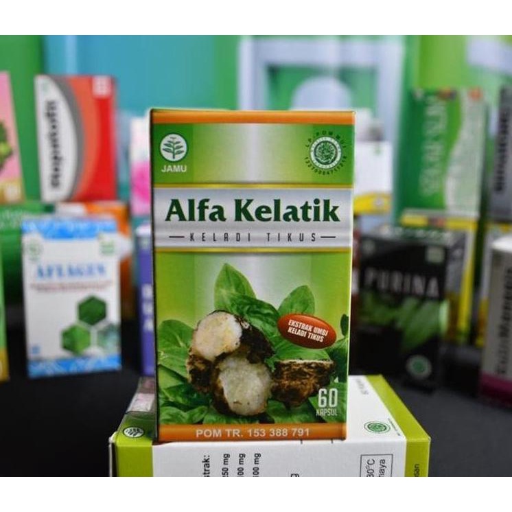 Herbal Keladi Tikus,Obat Keladi TIkus,Herbal Kangker,Herbal Tumor Alfakelatik