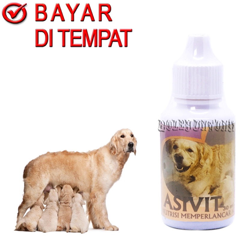 ASIVIT DOG VITAMIN ANJING MENYUSUI MELANCARKAN ASI AIR SUSU INDUKAN