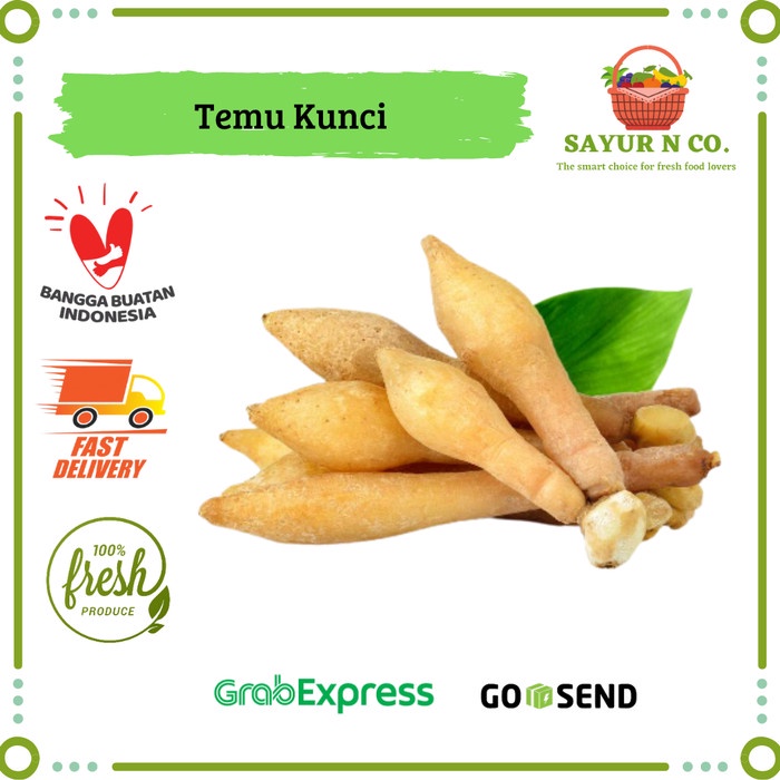 

Rempah Temu Kunci | Sayur N Co Bekasi