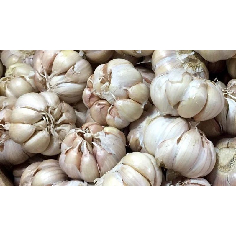 

BAWANG PUTIH HONAN 500 GRAM