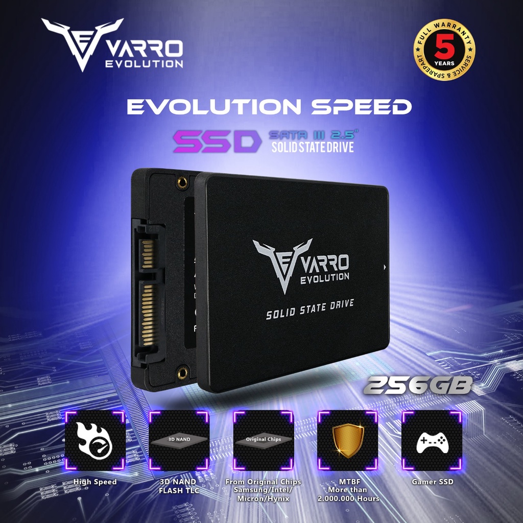 SSD VARRO 256GB