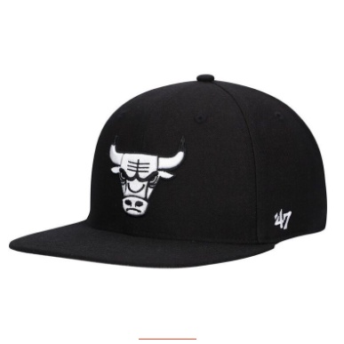 Topi Snapback bordir banteng chichago bulls unisex topi pria