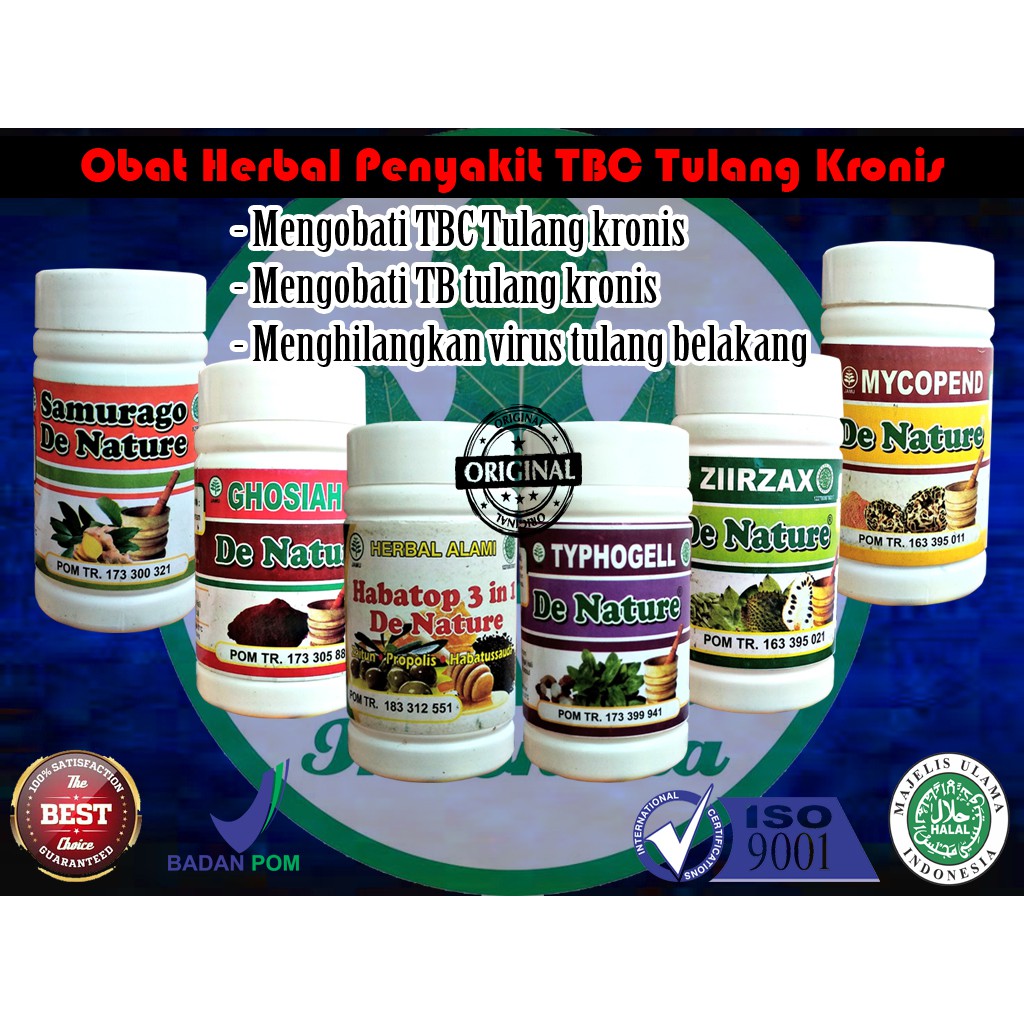 Langsung packing obat TBC tulang belakang kronis | sembuhkan TB tulang akut virus tuberculosis asli