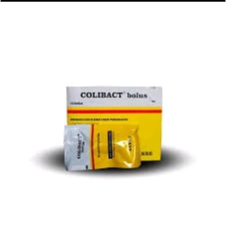 Jual Colibact Bolus obat diare mencret Sapi Kambing Domba Babi Harga