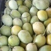 

Mangga Indramayu 1 Kg