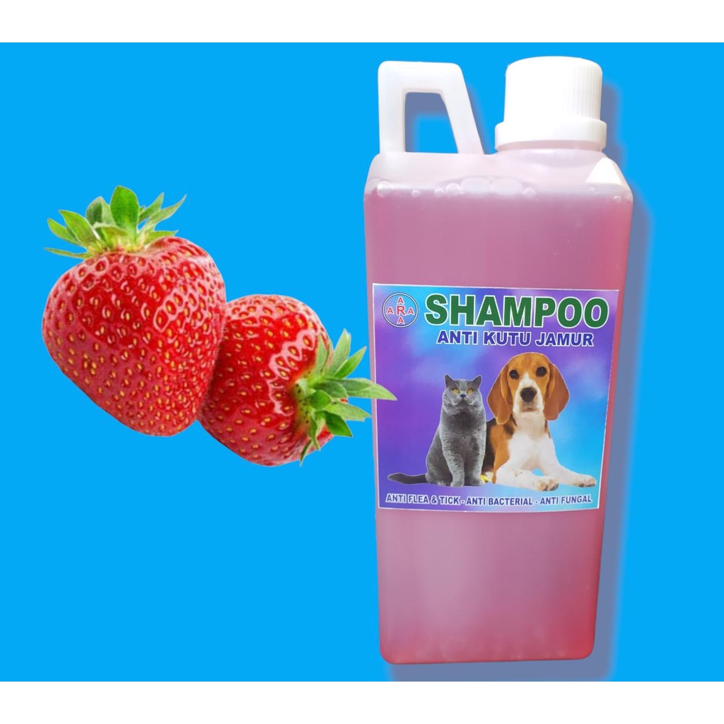 SAMPO KUCING NETTO 1000 ML / 1 LITER ANTI JAMUR/RONTOK/KUTU