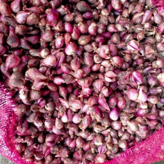 

Siap Kirim Bawang Merah Brebes 500Gram