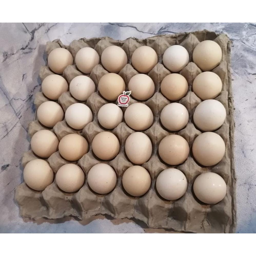 

Telur kampung OMEGA / 6 butir telor