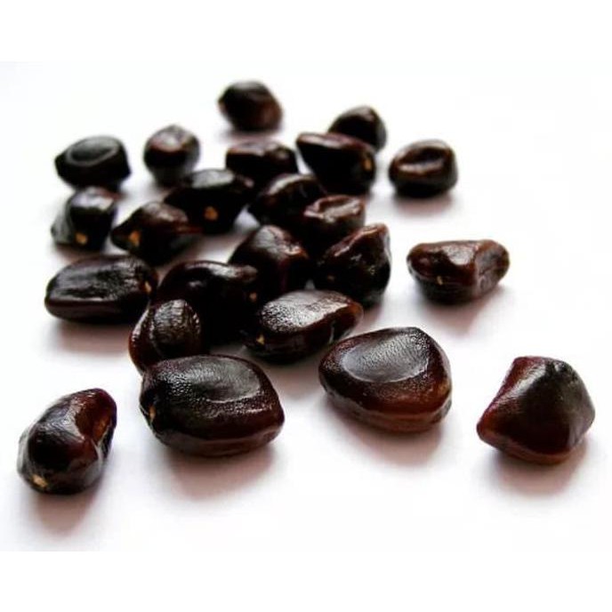 1 KG BIJI BENIH TANAMAN POHON ASEM JAWA PROMO