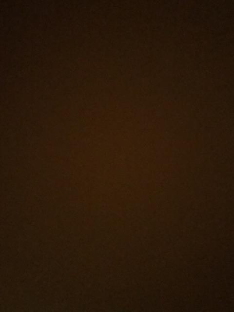 Anting Bunga Teratai Tanaman Bunga Perempuan Berongga Sederhana Dan Bergaya