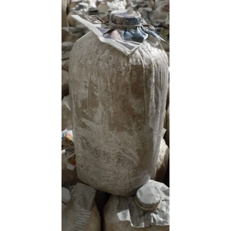 

Media tanam jamur/Baglog jamur