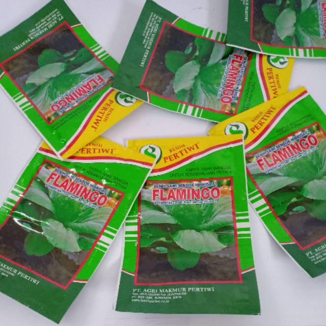 Benih Sawi Sendok  F1 Hibrida Flamingo