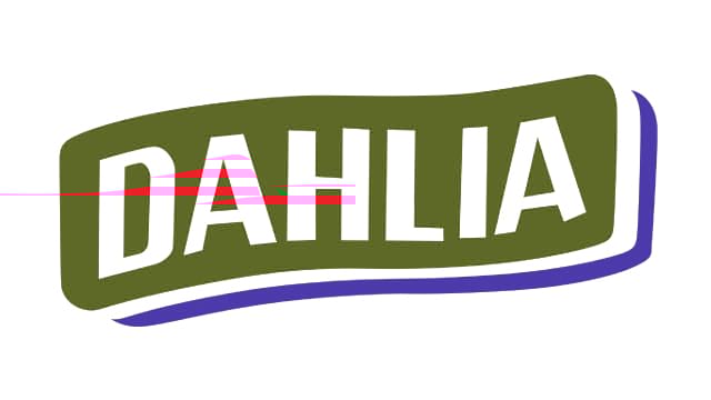 Dahlia