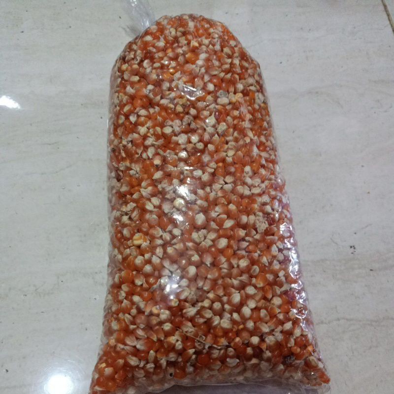 

Jagung Kecil Kemasan 1 Kilo