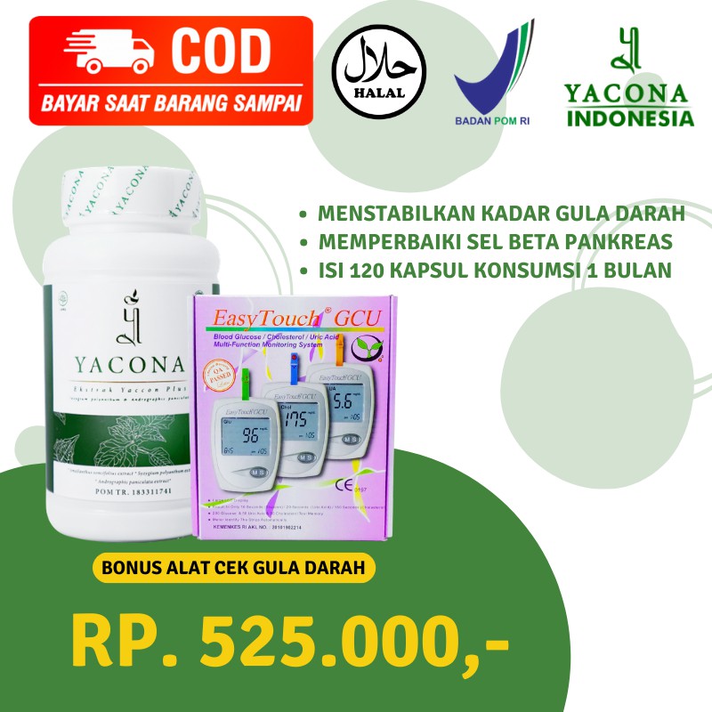 Yacona Obat Herbal Diabetes Terpercaya 1 botol 120 Kapsul (bisa COD)