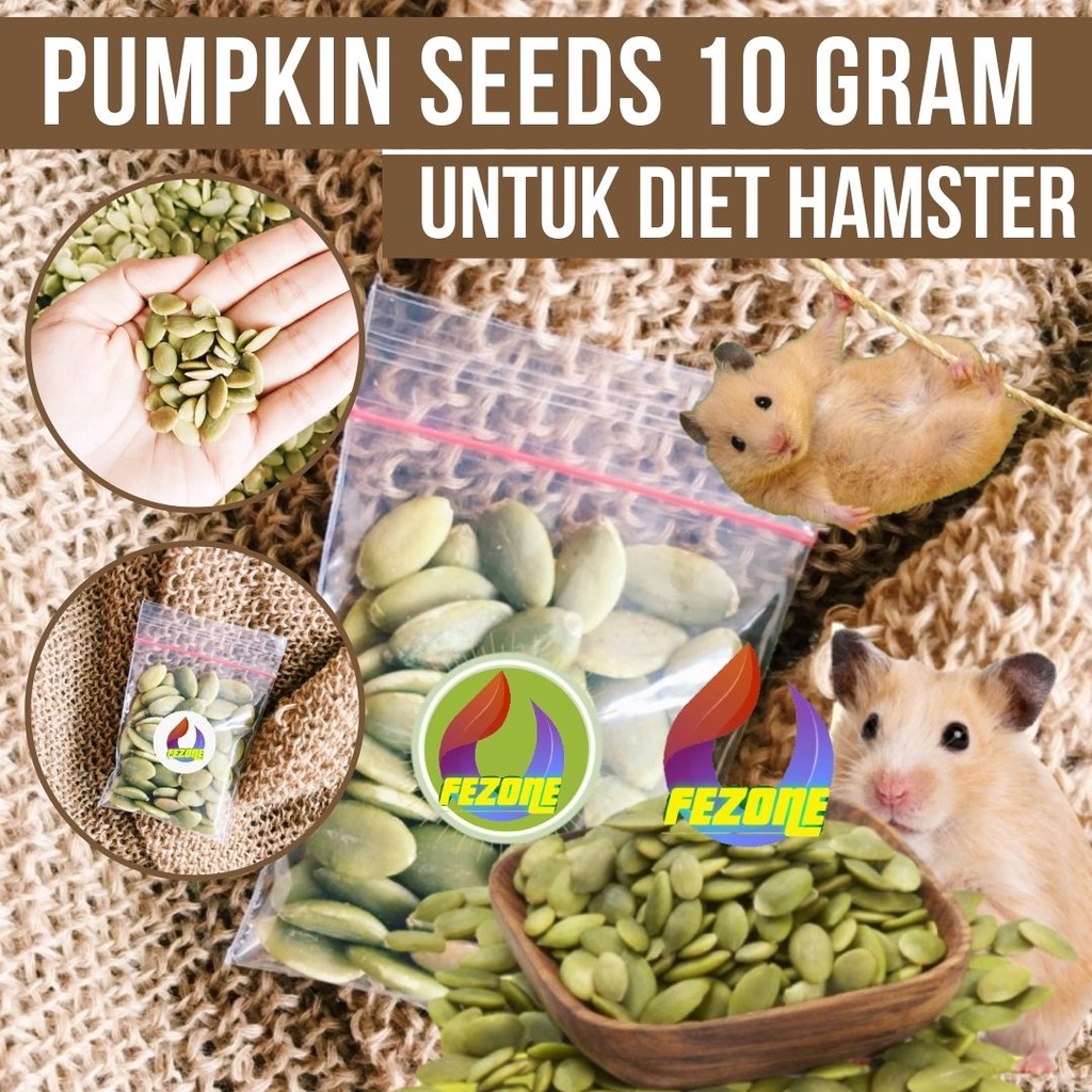Raw Pumpkin Seeds 10 Gram FEZONE