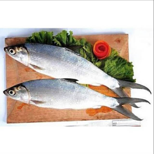 

Ikan bandeng per 500 gram isi 2-3